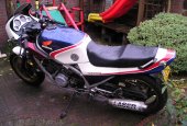 1984 Honda VF 750 F photo